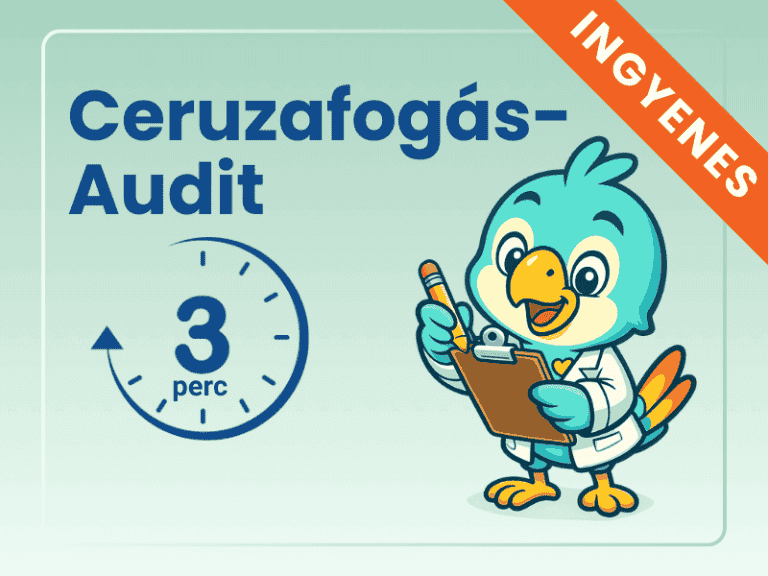 Ceruzafogas-audit.png