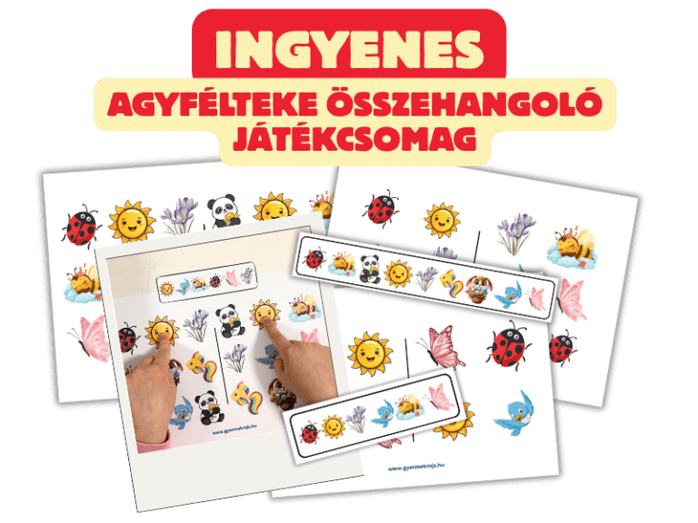 tavaszi agyfélteke összehangoló
